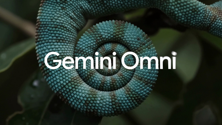 The Release Of OMNI by Gemini